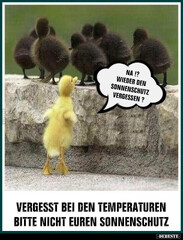Netzpost-Foto