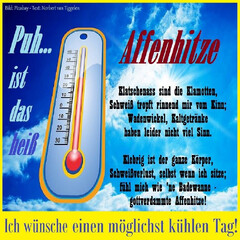 Netzpost-Foto