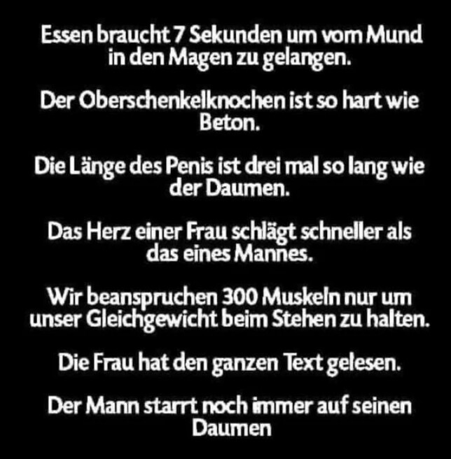 Netzpost-Foto