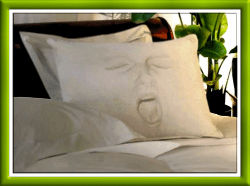 Allgemeine Bilder