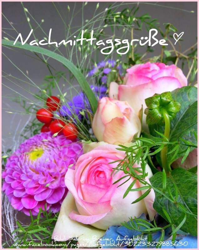 - Nachmittagsgrüße -