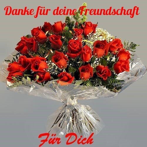 Freunde