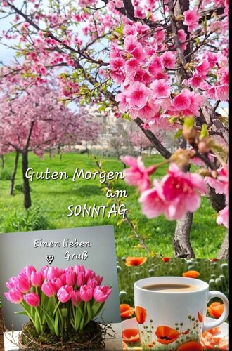 Sonntag