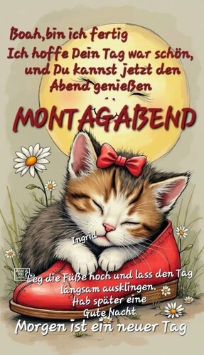 Gute Nacht  🌜🌔🌛