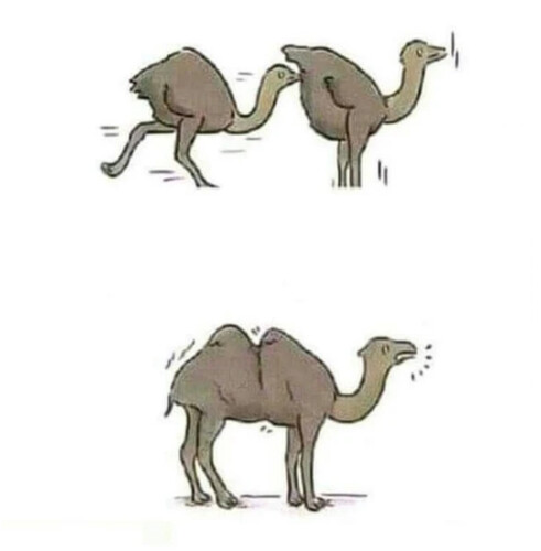 Fun - Part 3