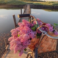 Netzpost-Foto