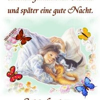 Netzpost-Foto