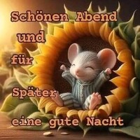 Netzpost-Foto