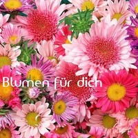 Netzpost-Foto