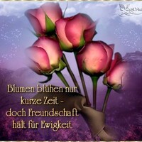 Netzpost-Foto