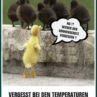 Netzpost-Foto