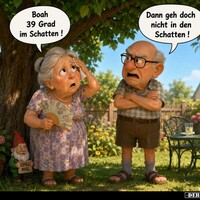 Netzpost-Foto