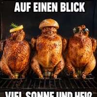 Netzpost-Foto