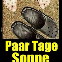 Netzpost-Foto