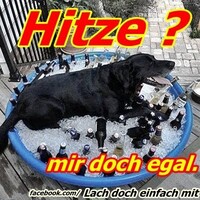 Netzpost-Foto