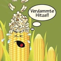 Netzpost-Foto
