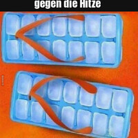 Netzpost-Foto