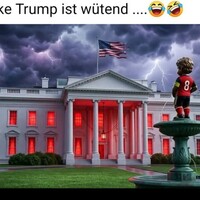 Netzpost-Foto