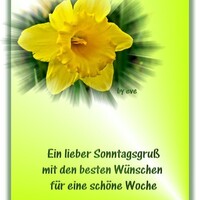 Netzpost-Foto