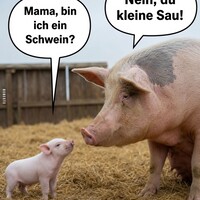 Netzpost-Foto